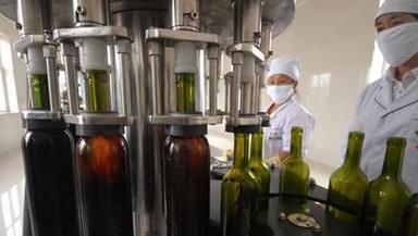 Подгонянный заполнитель бутылки оборудования/вина машины завалки вина/разливать по бутылкам вина